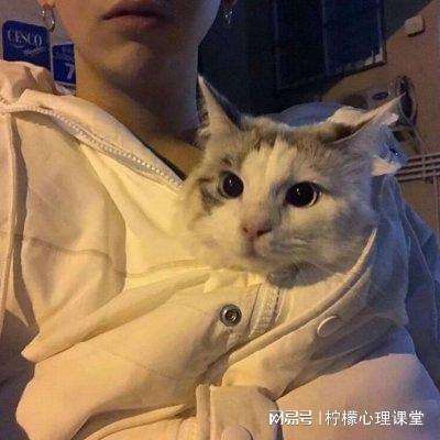 新晨酷娱游戏盒子下载